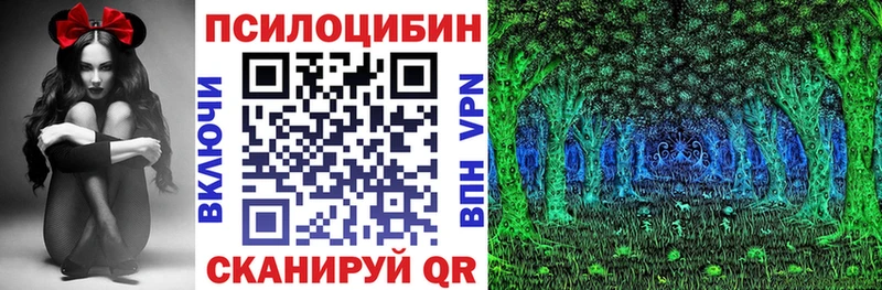 как найти   Пласт  Псилоцибиновые грибы GOLDEN TEACHER 